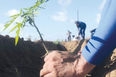 Autoabastecimiento alimentario, un reto también sindical