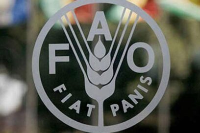 Colabora la FAO en proyecto cubano de producción sostenible