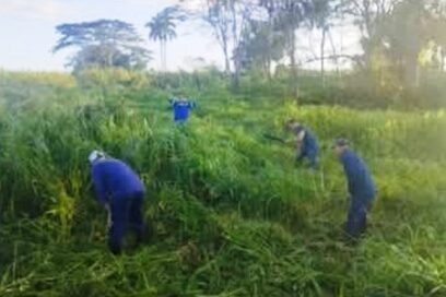 Las ganancias de producir alimentos para los colectivos laborales