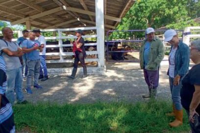 Aprender sobre ciencia en el potrero