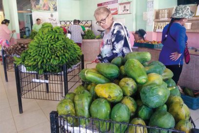 El atolladero de las ganancias