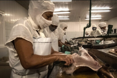 Un plus para la acuicultura en Sancti Spíritus