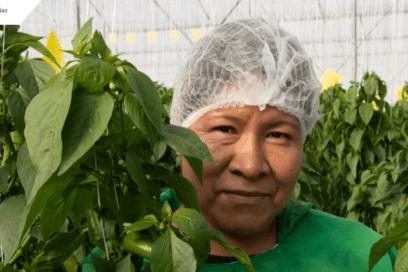 Más protección, menos desigualdad: la urgencia de una mirada de género en la seguridad y salud en el trabajo