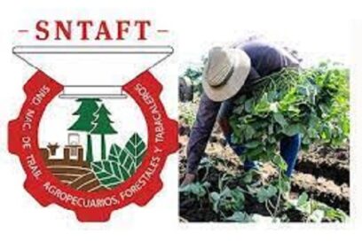 Tarea prioritaria: elevar los movimientos productivos agrícolas