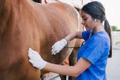 Guantánamo y Villa Clara provincias destacadas en la medicina veterinaria cubana