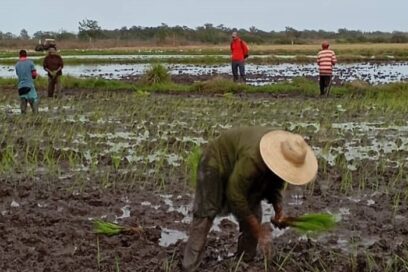 Se favorece Granma con el proyecto Agro Crece
