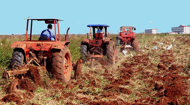 Foto: Radio Mayabeque Foto: Radio Mayabeque