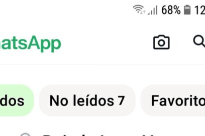 EN 500 CARACTERES Favoritos en Whatsapp