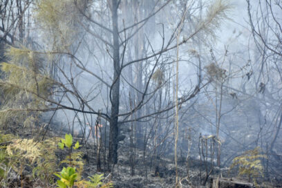 Aún sin control incendio forestal de grandes proporciones