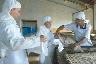 Acuicultura: Ellos multiplican peces