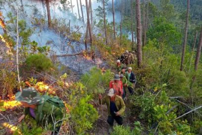 Incendio forestal de grandes proporciones en Minas de Matahambre