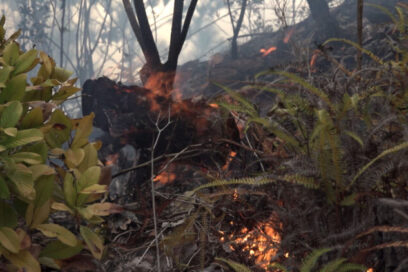 Continúa enfrentamiento a incendio forestal en Pinar del Río