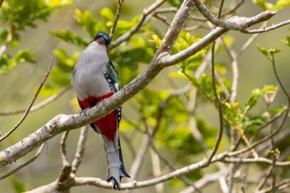 ¡El tipo existe, y míralo ahí! (Fotorreportaje)
