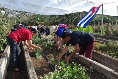 Este sábado y domingo por Fidel derramemos ríos de sudor