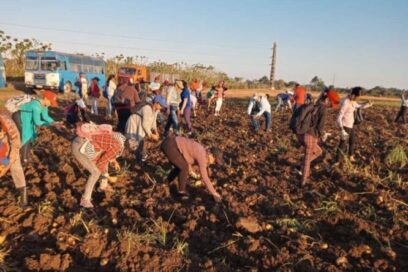 Huellas laborales del siglo XXI