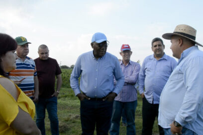 Cuban vice president confirms agricultural diversification in Tabacuba, Consolación del Sur