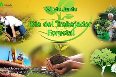 En Guamá celebrarán el Día del Trabajador Forestal