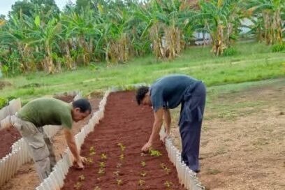La Universal sigue cultivando su pedacito