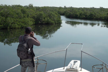 Verde y azul en los Colorados