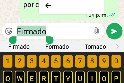 EN 500 CARACTERES Resaltar palabras en Whatsapp