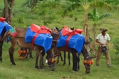 Fabular es cosa de arrieros