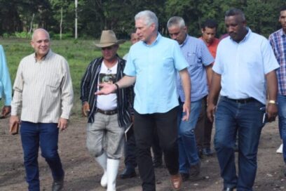 Si algunos triunfan, otros muchos también pueden