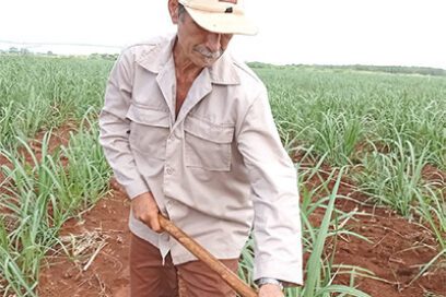 El as de triunfo de La Lucía
