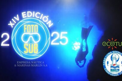 FOTOSUB 2025: La belleza del mundo marino