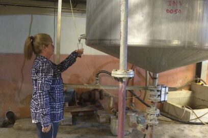 Soluciones logradas entre todos rescatan a la levadura torula (+video)