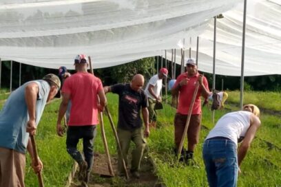 Con trabajo y entrega más producción de alimentos