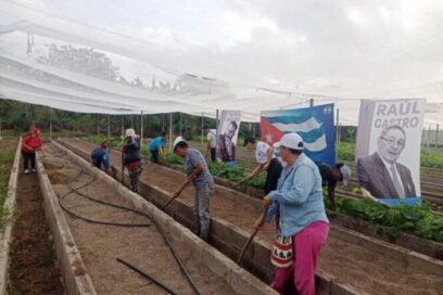 Organizaciones de masas apoyan tareas agrícolas en Holguín