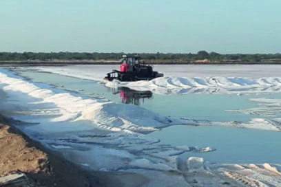 Cogerle el punto a la sal