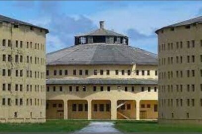 Al siguiente año…