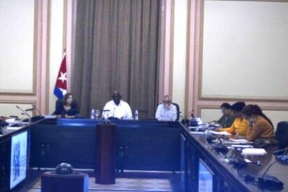 Analizó Consejo de Estado proyectos de ley, previo a su presentación a la Asamblea Nacional