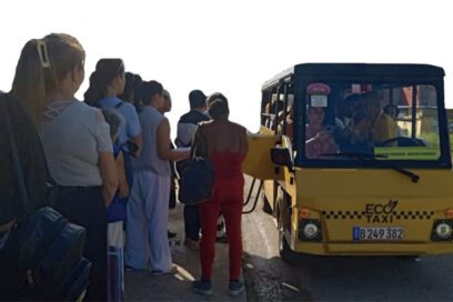 Los ecotaxis dan la talla