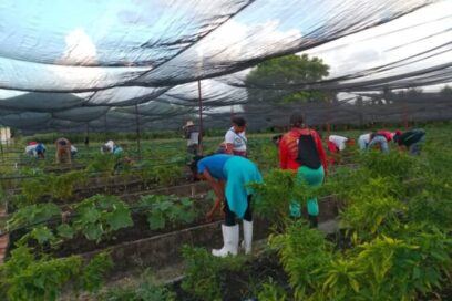 Movimiento sindical en la producción de alimentos