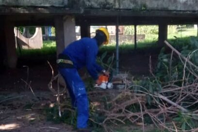 Embellecen escuelas pineras