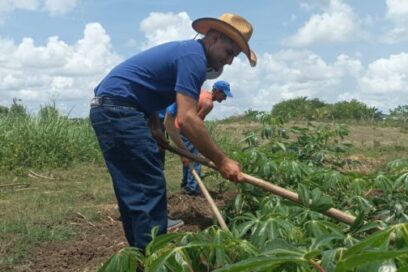 Una finca familiar que transforma el campo