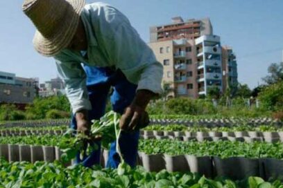 Decreto sobre agroecología impulsa ese movimiento social