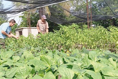 Un ejemplo a imitar desde el Balcón del Oriente cubano