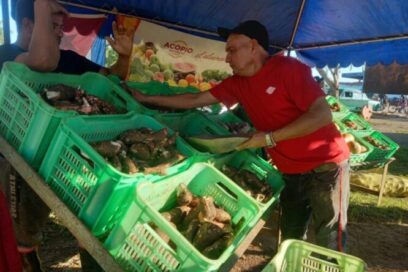 Ferias agropecuarias matanceras siguen sin complacer