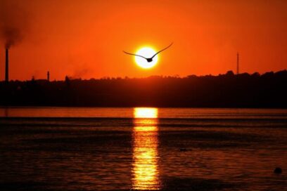 Una imagen, una historia: Cuando el sol y el vuelo se cruzan