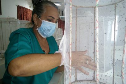 El centralito de Olemys