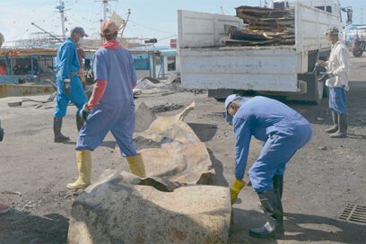 Dolor, voluntad y esperanza en la empresa La Coloma