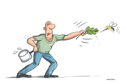 EN 500 CARACTERES: Repelentes caseros (I parte)