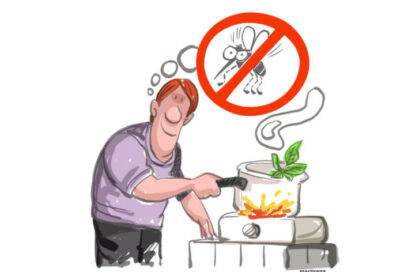 EN 500 CARACTERES: Repelentes caseros (II parte)