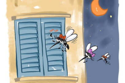 EN 500 CARACTERES Repelentes caseros (V parte)