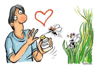 EN 500 CARACTERES Repelentes caseros (VI parte final)