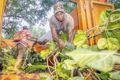Trabajos voluntarios en la capital cubana: La hora es de hacer