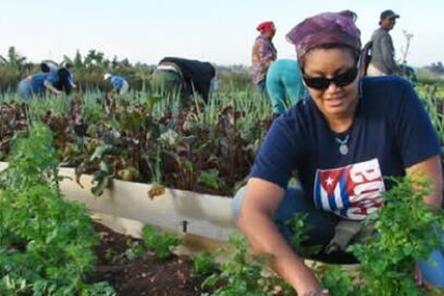 Jornada Nacional de Trabajo Voluntario